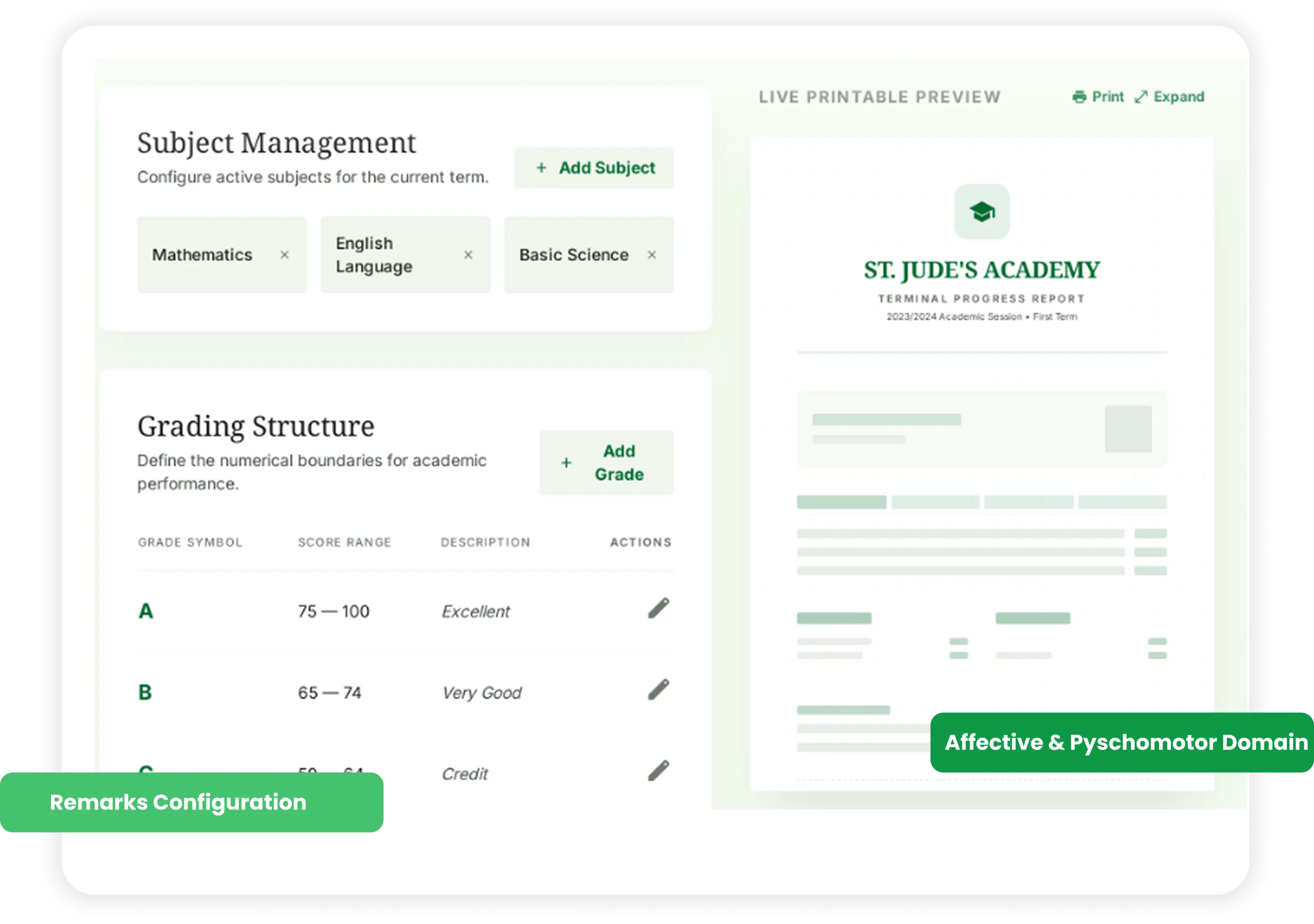 Preview of custom result and report builder